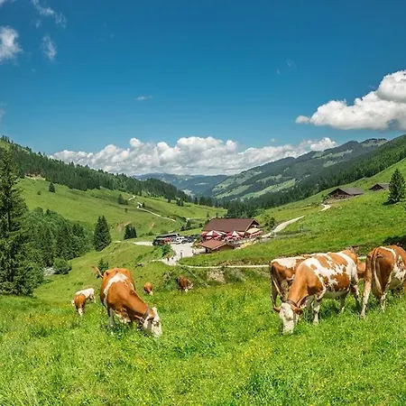 Markbachblick Wildschoenau