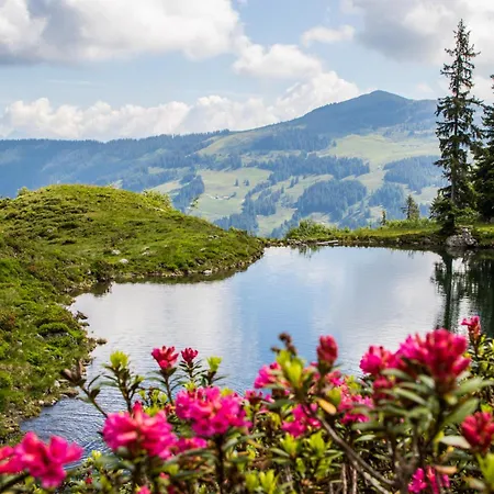 Appartement Markbachblick Wildschoenau